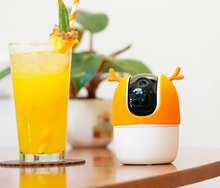 Cargar imagen en el visor de la galería, IMOU FRS13 - Cubierta para Camara RANGER 2/ Material Silicon/ Color Naranja